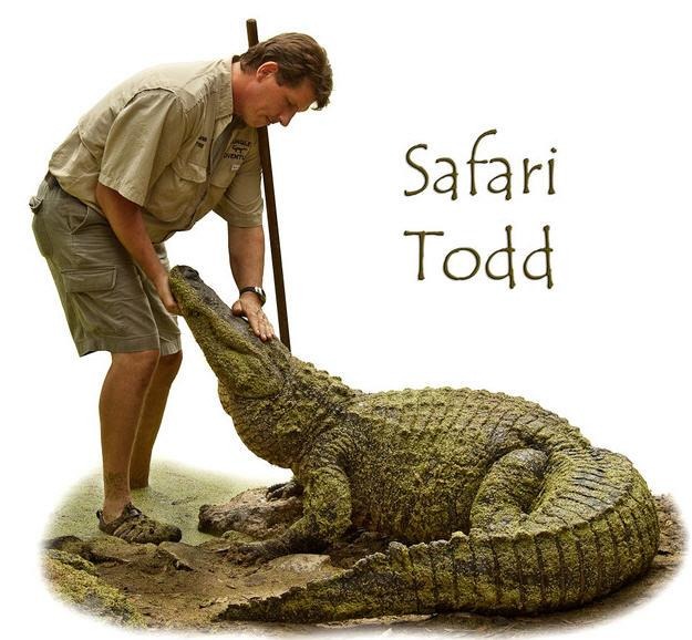 Safari Todd